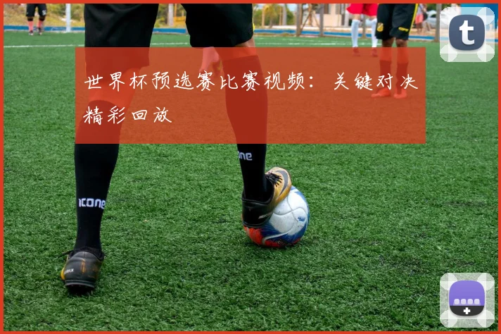 世界杯预选赛比赛视频:关键对决精彩回放