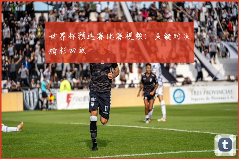 世界杯预选赛比赛视频:关键对决精彩回放
