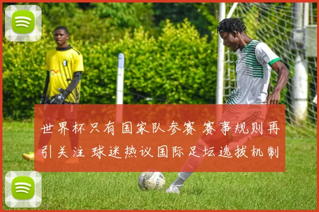 世界杯只有国家队参赛 赛事规则再引关注 球迷热议国际足坛选拔机制