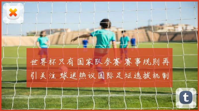 世界杯只有国家队参赛 赛事规则再引关注 球迷热议国际足坛选拔机制