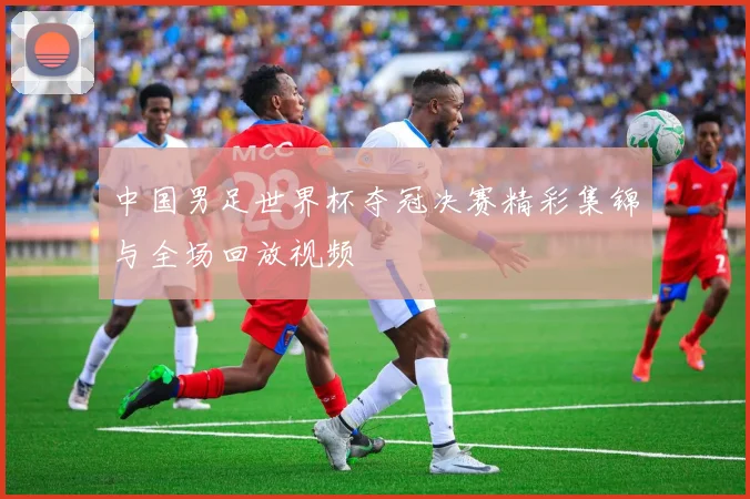 中国男足世界杯夺冠决赛精彩集锦与全场回放视频
